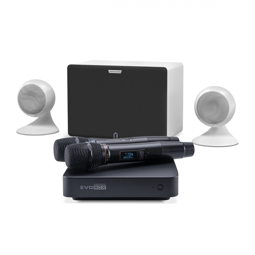караоке-комплект EVOBOX Classic + EvoSound Sphere 2.1 в Климовске