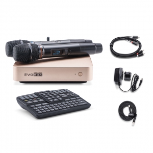 EVOBOX Plus караоке-система для дома в Климовске